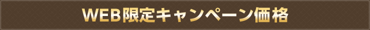 WEB限定キャンペーン価格